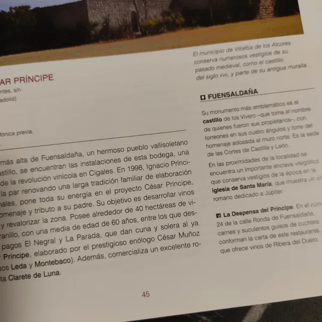 Las rutas del vino en España. Castilla y León