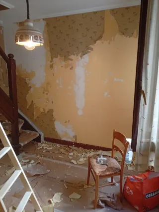 Limpiezas y pinturas