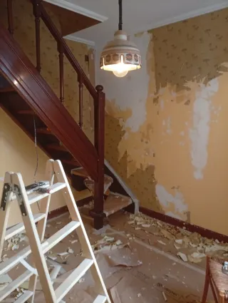 Limpiezas y pinturas