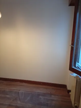 Limpiezas y pinturas