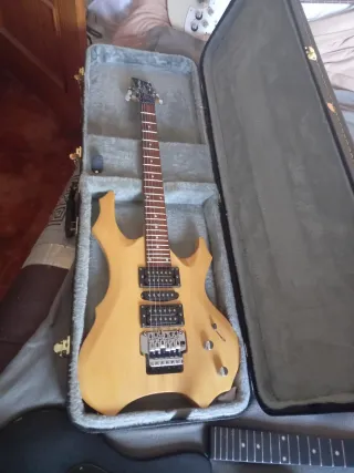 Maleta Rígida Guitarra Eléctrica para varios model