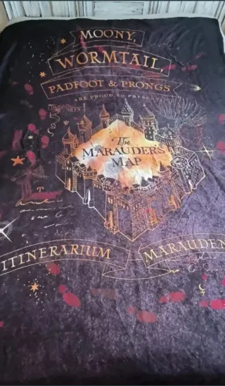 Sabana-Funda Harry Potter