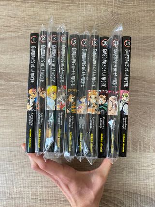 Guardianes de la noche