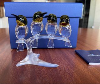 Set di 4 Uccelli Swarovski Crystal