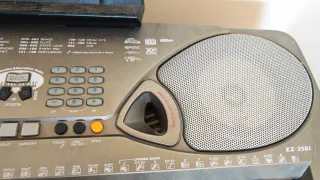 Teclado Yamaha EZ-250i