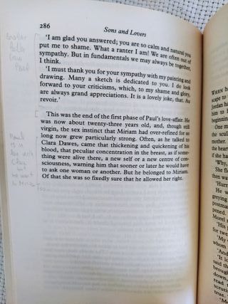 Libro Sons and Lovers D. H. Lawrence