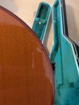 Guitarra Clásica Almansa 434 + Estuche Rígido