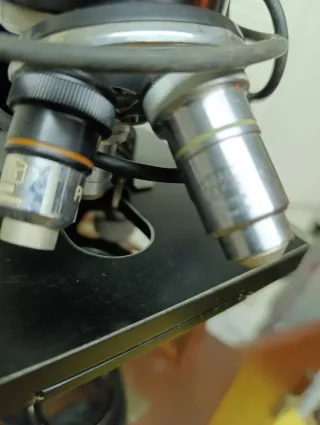 Microscopio Leica Binocular con caja