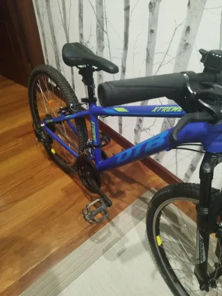 Bicicleta infantil 24 Forum