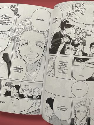 Un manga de la saga Wind Breaker