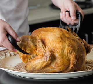 Garras de Oso para Cocina