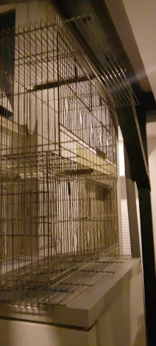 Jaula terrario pajarera grande sin divisiones