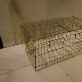 Jaula terrario pajarera grande sin divisiones