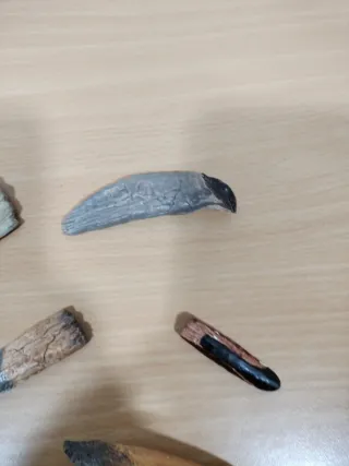 Réplicas Dientes y Garras Dinosaurios