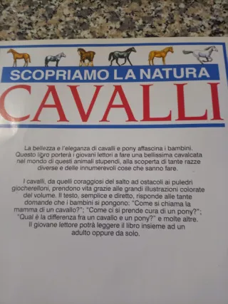 Scopriamo la Natura Cavalli di L  Smith illustrato