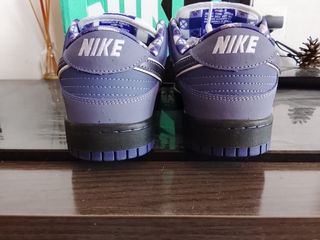 Nike Dunk Low SB Morado Blanco
