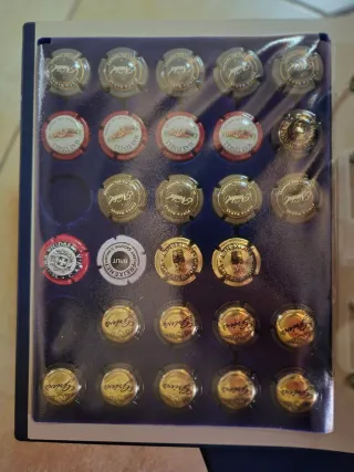 Álbum y chapas de cava