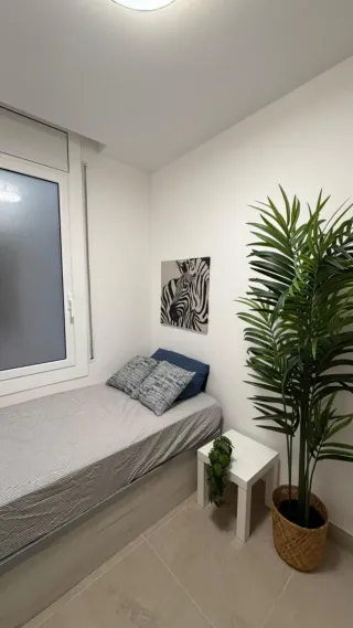 Habitacion en alquiler terrassa rambla