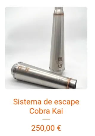 Escape Cobra kai   Harley Davidson y custom