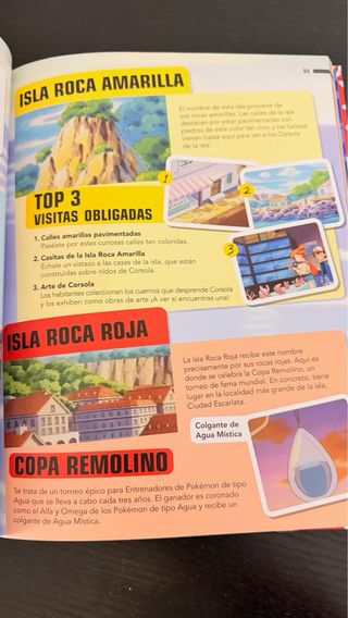 Libro Pokemon