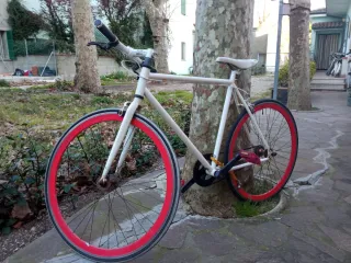 Bici da velocità 26 bianca