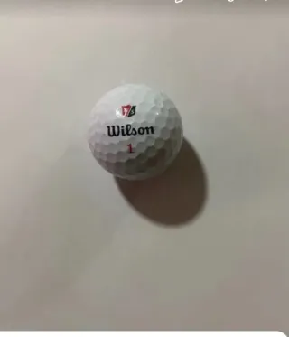 50 Pelota de Golf Wilson Staff Nº 1 por 25 euros