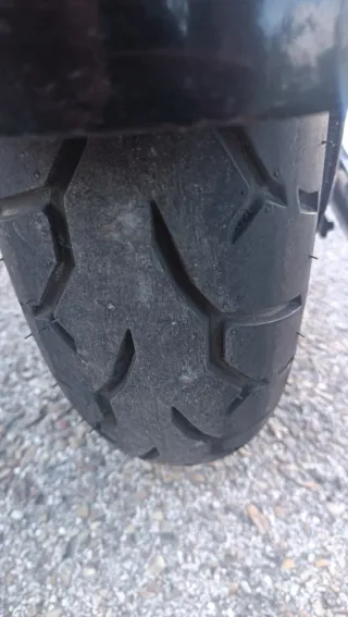 Harley Davidson Sportster 883 Custom