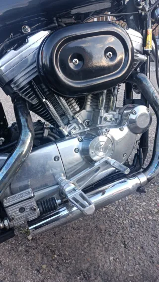 Harley Davidson Sportster 883 Custom