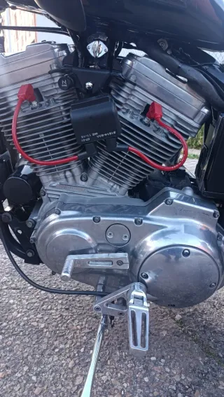 Harley Davidson Sportster 883 Custom