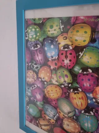 Puzzle Mariquitas con Marco Azul