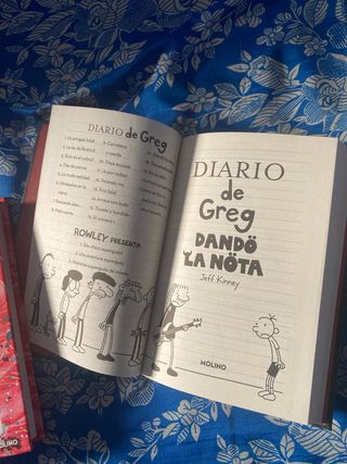 X3 Libros Diario de Greg