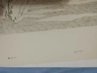 30 Litografie Don Chisciotte 48x34 cm