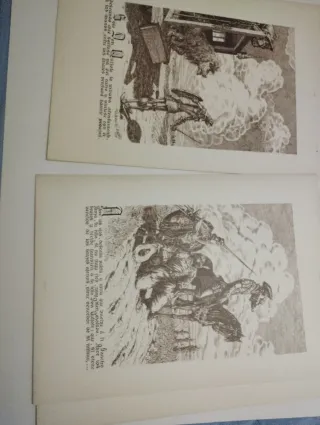 30 Litografie Don Chisciotte 48x34 cm