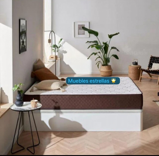 canape canape canape