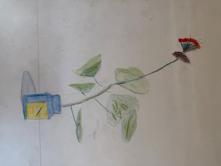 Dibujo antiguo flor en frasco - Papel