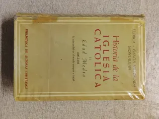 Historia de la Iglesia Católica ll Edad Media