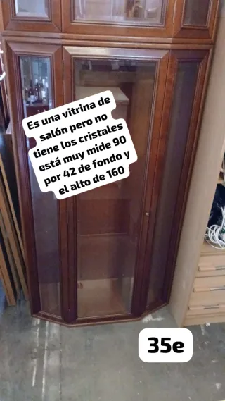 Vitrina de salón de madera y cristal
