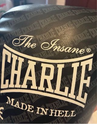Guantes Boxeo Charlie Made in Hell 14oz