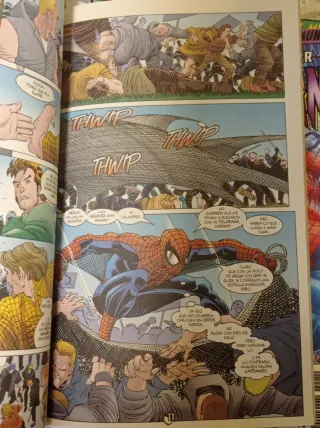 Lote cómics Peter Parker Spider-man