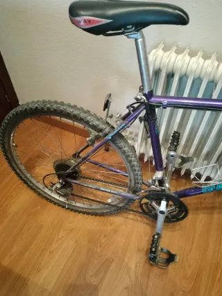 Bicicleta de Montaña Morada