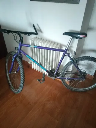 Bicicleta de Montaña Morada