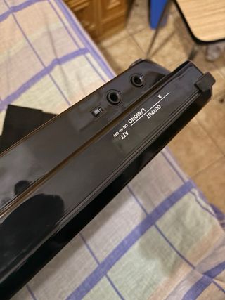 Roland AX-Synth Keytar con Caso de vuelo