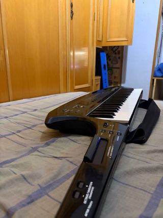 Roland AX-Synth Keytar con Caso de vuelo