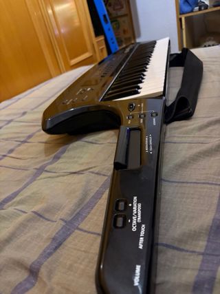 Roland AX-Synth Keytar con Caso de vuelo