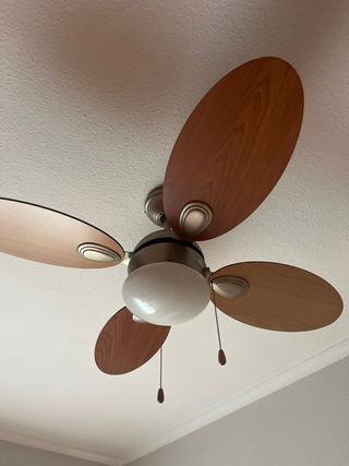 Ventilador de techo madera y plata