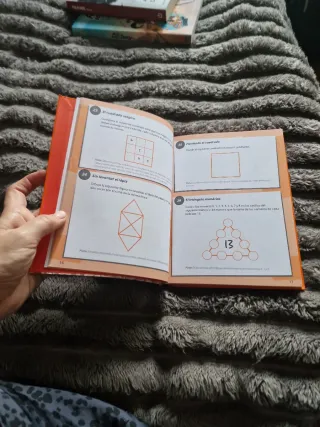 365 enigmas y juegos de lógica: Para niños y ni...