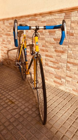 Bicicleta de carretera Zeus