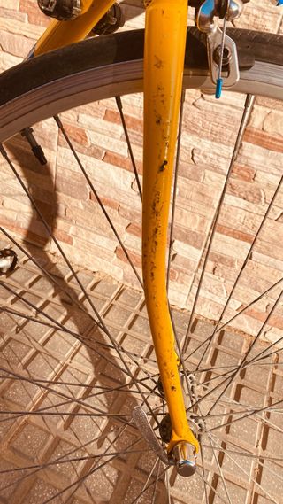 Bicicleta de carretera Zeus