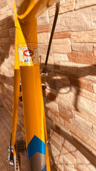 Bicicleta de carretera Zeus