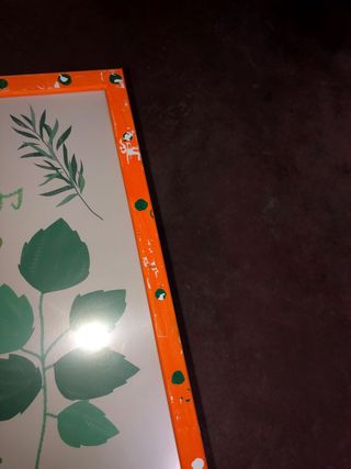 Stampe decorative frutta, verdura ed erbe